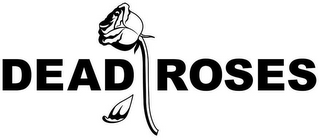 DEAD ROSES logo