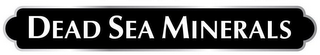 DEAD SEA MINERALS logo