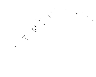 DEBRANCHE logo