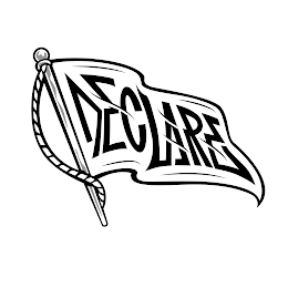 DECLARE logo