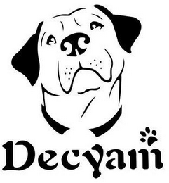 DECYAM logo