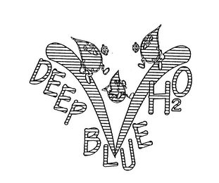 DEEP BLUE H2O logo