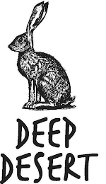 DEEP DESERT logo
