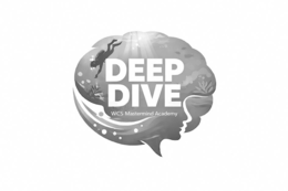 DEEP DIVE  WCS MASTERMIND ACADEMY logo