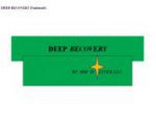 DEEP RECOVERY BY SHE D'LITES, LLC. logo