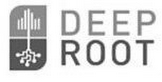 DEEP ROOT logo