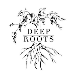 DEEP ROOTS logo