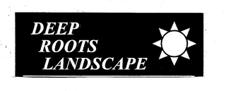 DEEP ROOTS LANDSCAPE logo