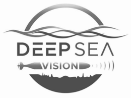 DEEP SEA VISION logo