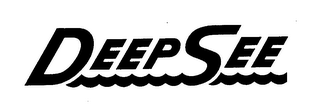 DEEP SEE logo