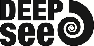 DEEP SEE logo
