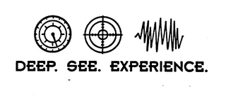 DEEP. SEE. EXPERIENCE. logo