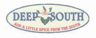 DEEP SOUTH ADD A LITTLE SPICE FROM THE SOUTH logo
