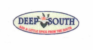 DEEP SOUTH ADD A LITTLE SPICE FROM THE SOUTH logo