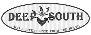 DEEP SOUTH ADD A LITTLE SPICE FROM THE SOUTH logo