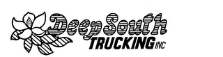 DEEP SOUTH TRUCKING INC logo