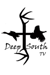 DEEP SOUTH TV logo