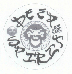 DEEP SPIRIT logo
