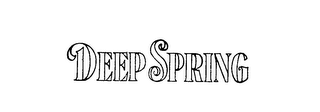 DEEP SPRING logo