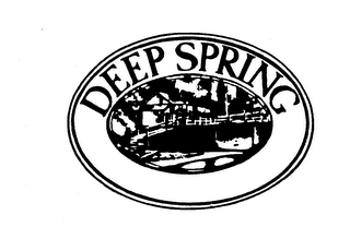 DEEP SPRING