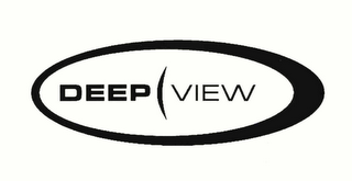 DEEP VIEW logo
