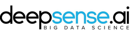 DEEPSENSE.AI BIG DATA SCIENCE logo