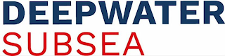 DEEPWATER SUBSEA logo