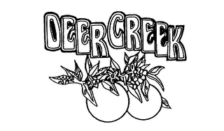 DEER CREEK logo