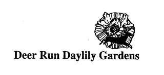 DEER RUN DAYLILY GARDENS logo