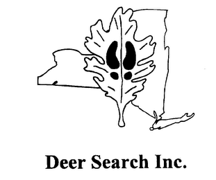 DEER SEARCH INC. logo