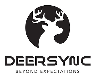 DEERSYNC BEYOND EXPECTATIONS logo