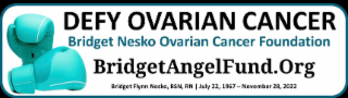 DEFY OVARIAN CANCER BRIDGET NESKO OVARIAN CANCER FOUNDATION BRIDGETANGELFUND.ORG BRIDGET FLYNN NESKO BSN, RN JULY 22, 1967 - NOVEMBER 28, 2022 logo