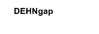 DEHNGAP logo