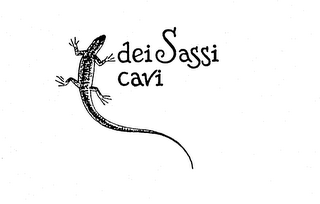 DEI SASSI CAVI logo