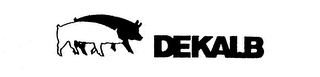 DEKALB logo