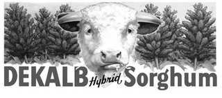 DEKALB HYBRID SORGHUM logo