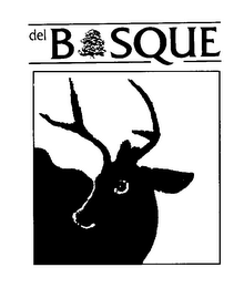DEL BOSQUE TRANSLATION OF THE FOREIGN WORD "DEL BOSQUE": THE WOODS logo