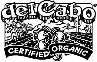 DEL CABO CERTIFIED ORGANIC logo