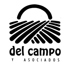 DEL CAMPO Y ASOCIADOS logo
