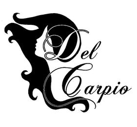 DEL CARPIO logo