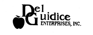 DEL GUIDICE ENTERPRISES, INC. logo