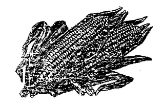 DEL MAIZ logo