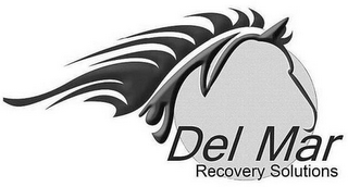 DEL MAR RECOVERY SOLUTIONS logo