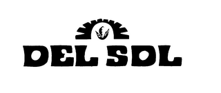 DEL SOL logo