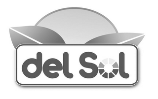 DEL SOL logo