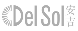 DEL SOL logo