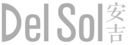 DEL SOL logo