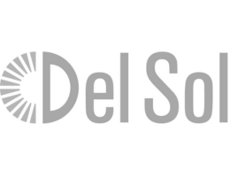 DEL SOL logo
