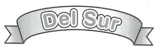 DEL SUR logo