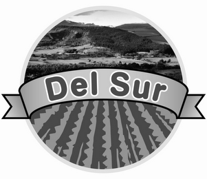 DEL SUR logo